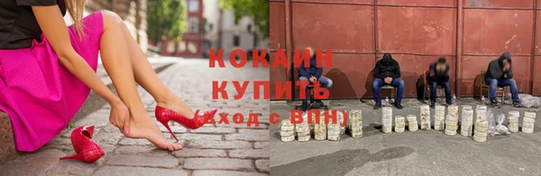 крисы Бородино
