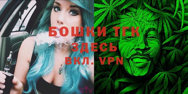 крисы Бородино