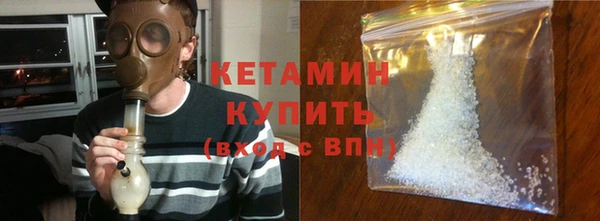 крисы Бородино