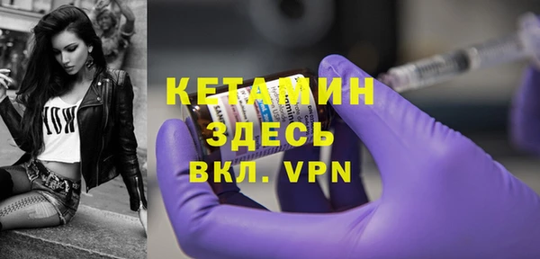 крисы Бородино