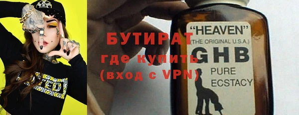 крисы Бородино