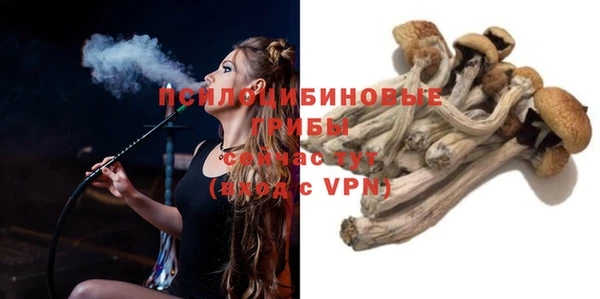 крисы Бородино