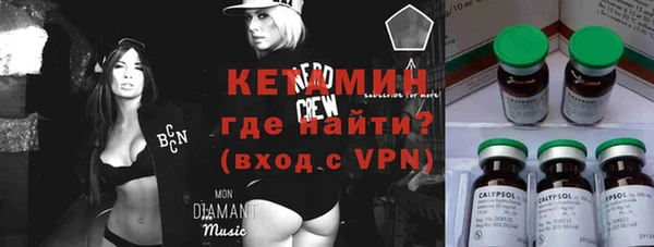 крисы Бородино