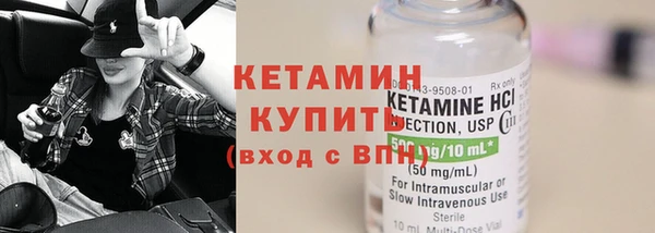 крисы Бородино