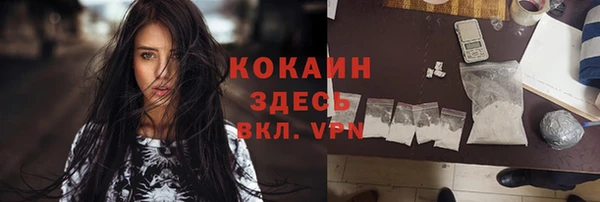 крисы Бородино