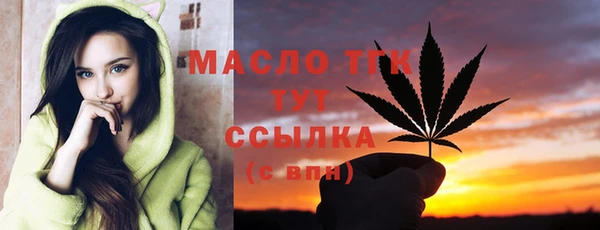 крисы Бородино