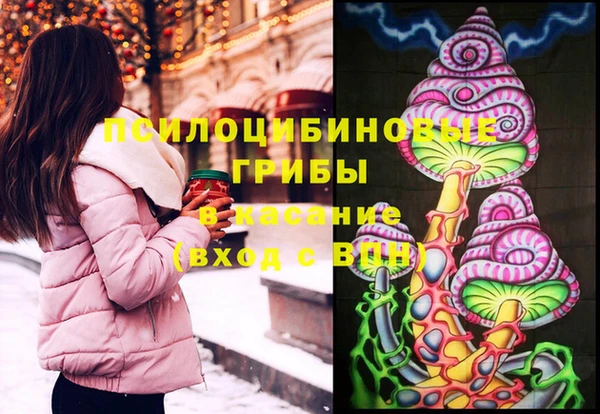 spice Бронницы