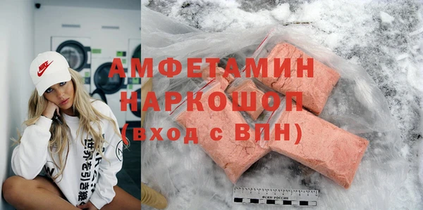 крисы Бородино