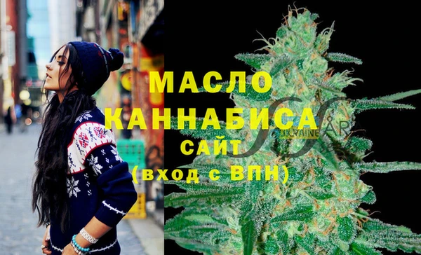 крисы Бородино