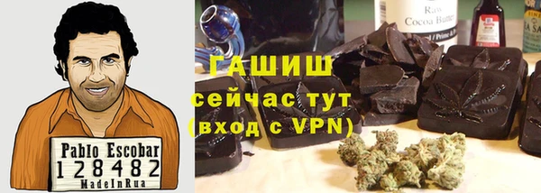 крисы Бородино