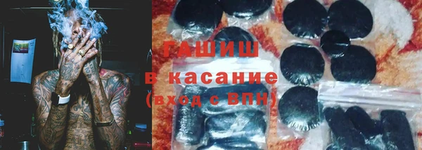 крисы Бородино